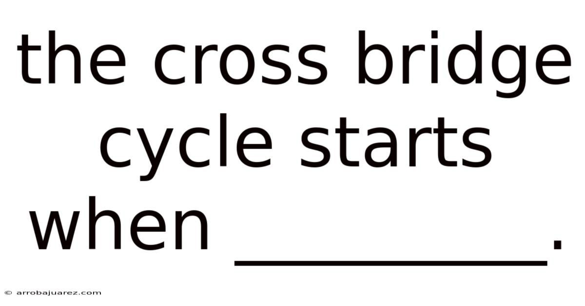 The Cross Bridge Cycle Starts When _________.