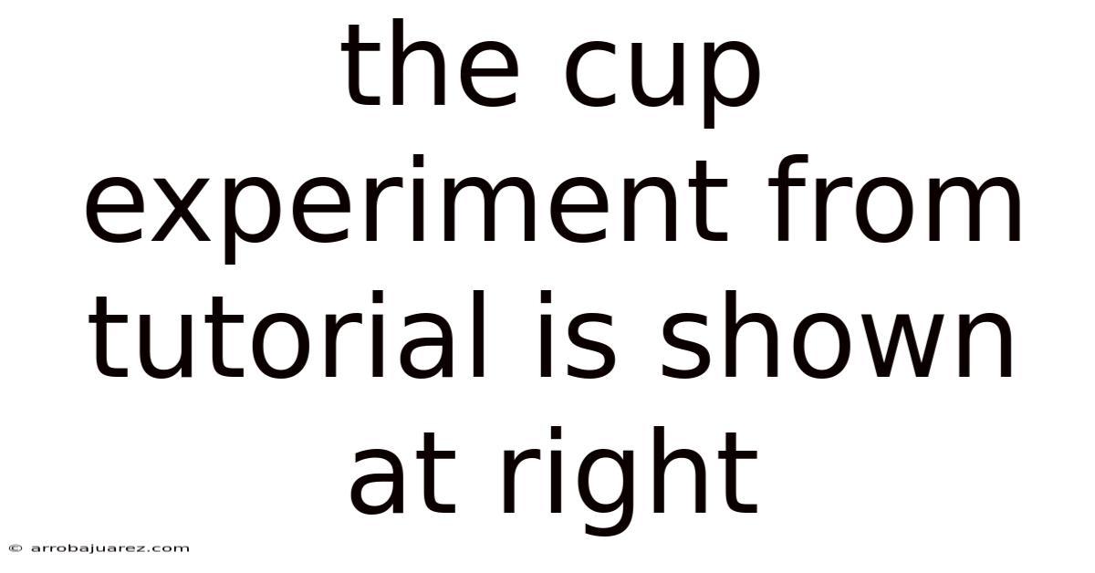 The Cup Experiment From Tutorial Is Shown At Right