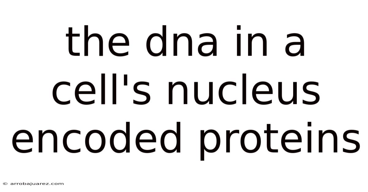 The Dna In A Cell's Nucleus Encoded Proteins