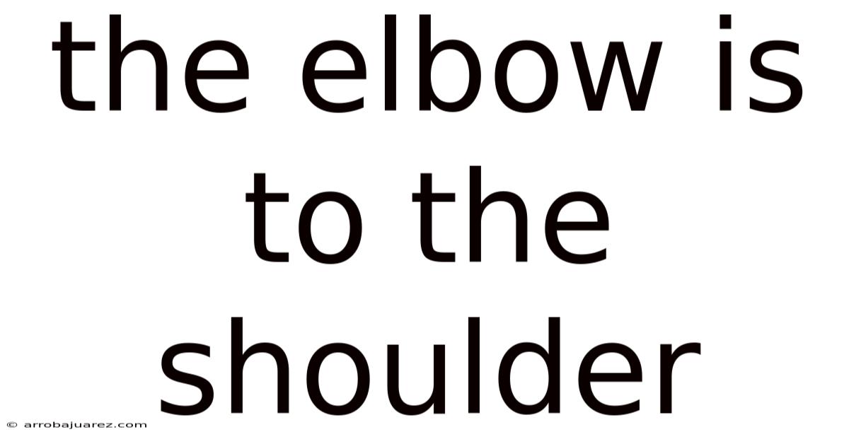 The Elbow Is To The Shoulder