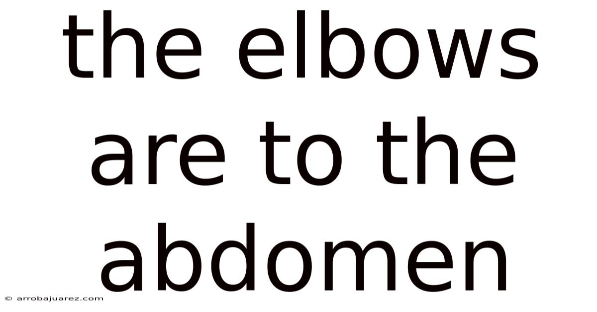 The Elbows Are To The Abdomen