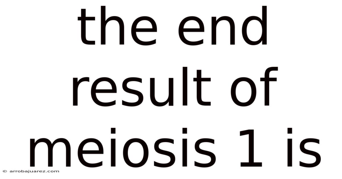 The End Result Of Meiosis 1 Is
