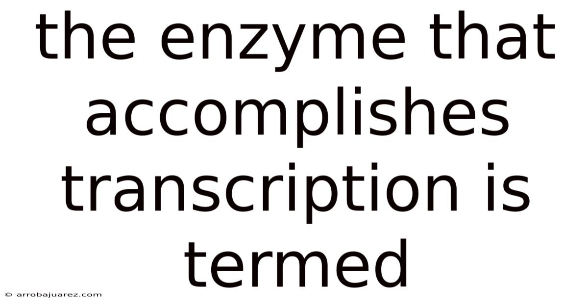 The Enzyme That Accomplishes Transcription Is Termed