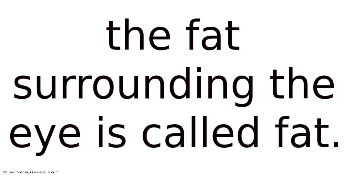 The Fat Surrounding The Eye Is Called Fat.