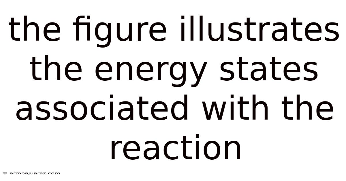 The Figure Illustrates The Energy States Associated With The Reaction