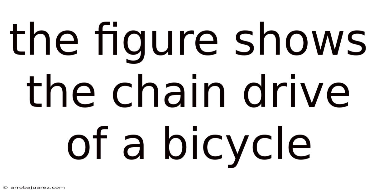 The Figure Shows The Chain Drive Of A Bicycle