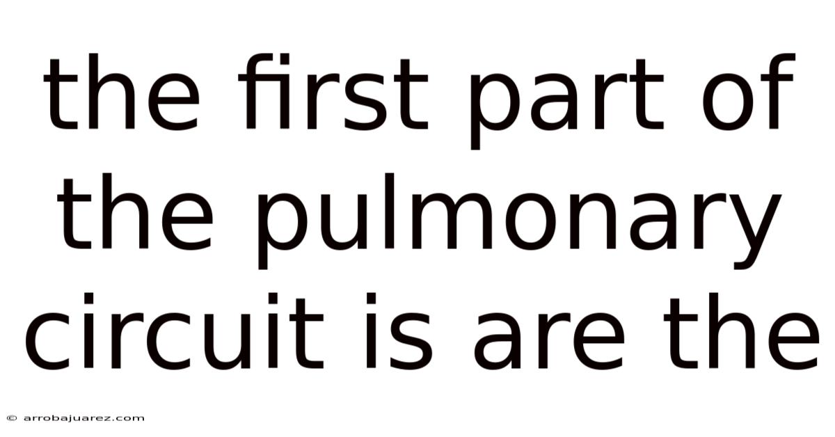 The First Part Of The Pulmonary Circuit Is Are The