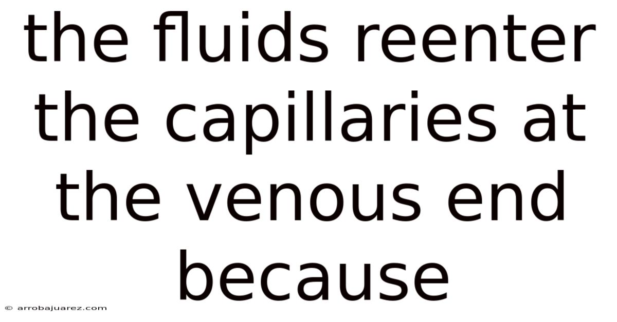 The Fluids Reenter The Capillaries At The Venous End Because