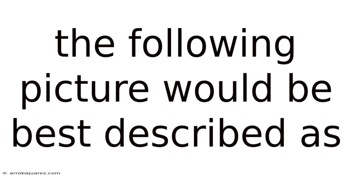 The Following Picture Would Be Best Described As