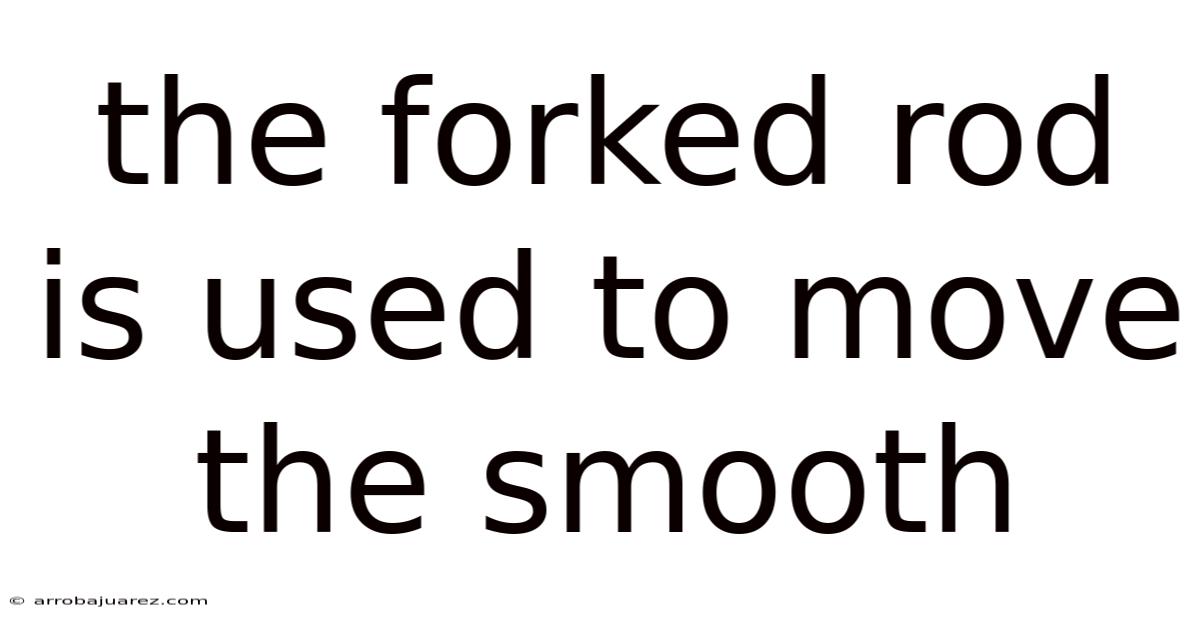 The Forked Rod Is Used To Move The Smooth