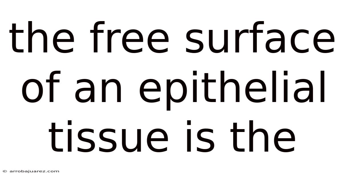 The Free Surface Of An Epithelial Tissue Is The