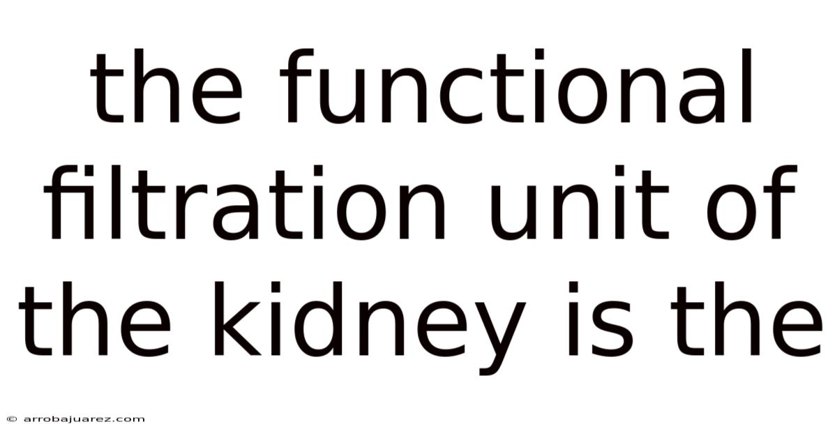 The Functional Filtration Unit Of The Kidney Is The