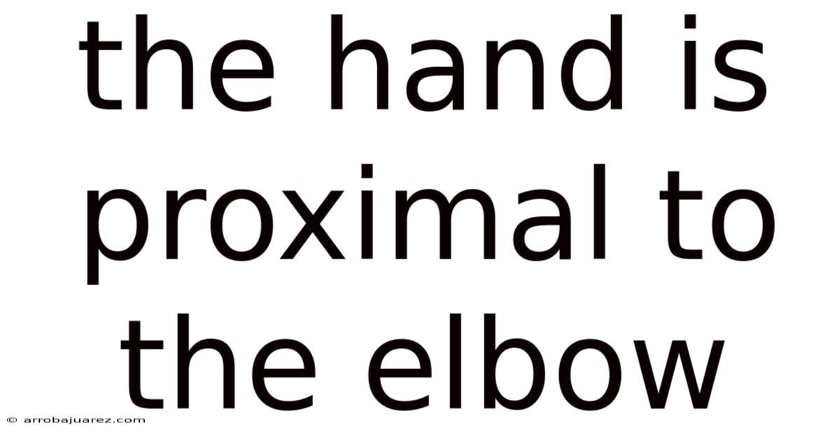The Hand Is Proximal To The Elbow