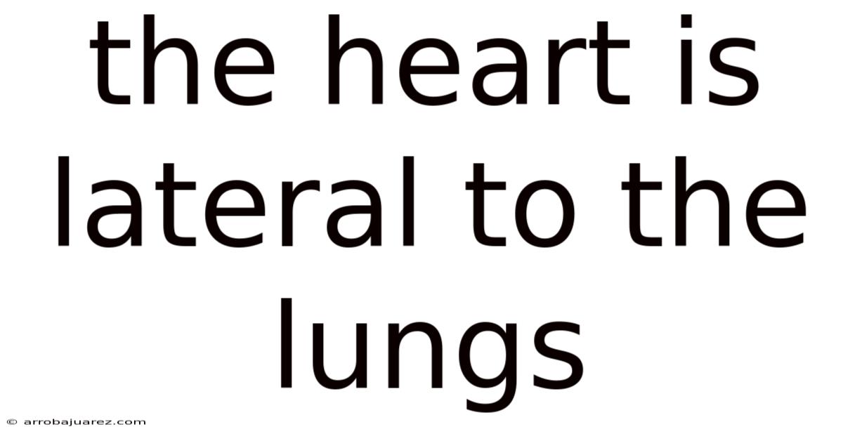 The Heart Is Lateral To The Lungs