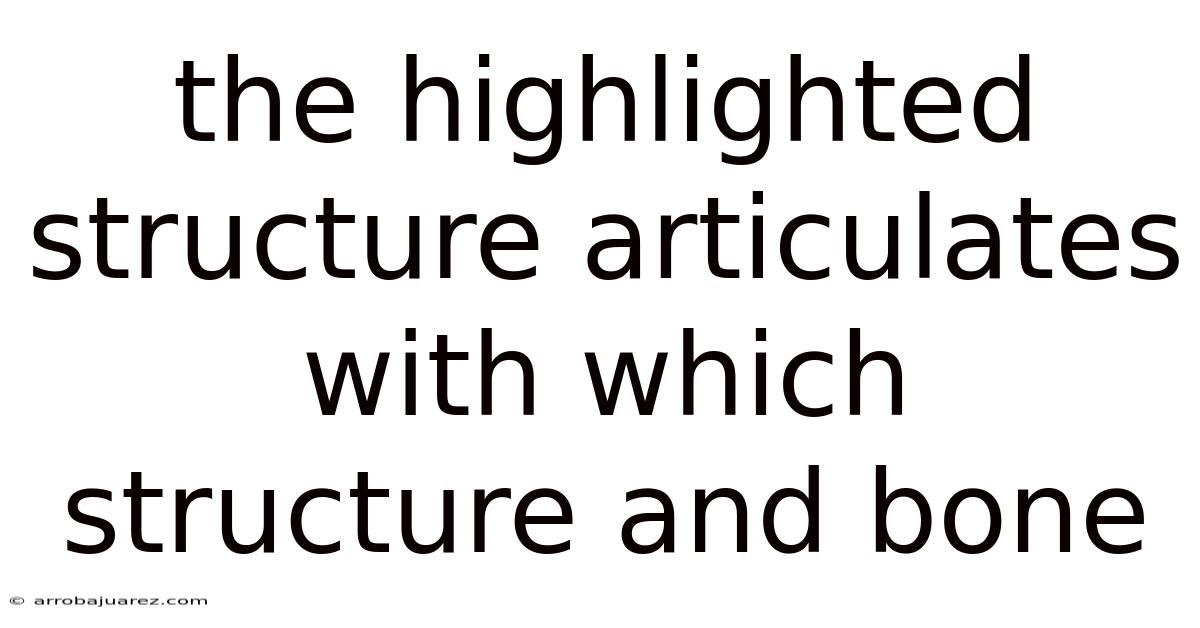 The Highlighted Structure Articulates With Which Structure And Bone