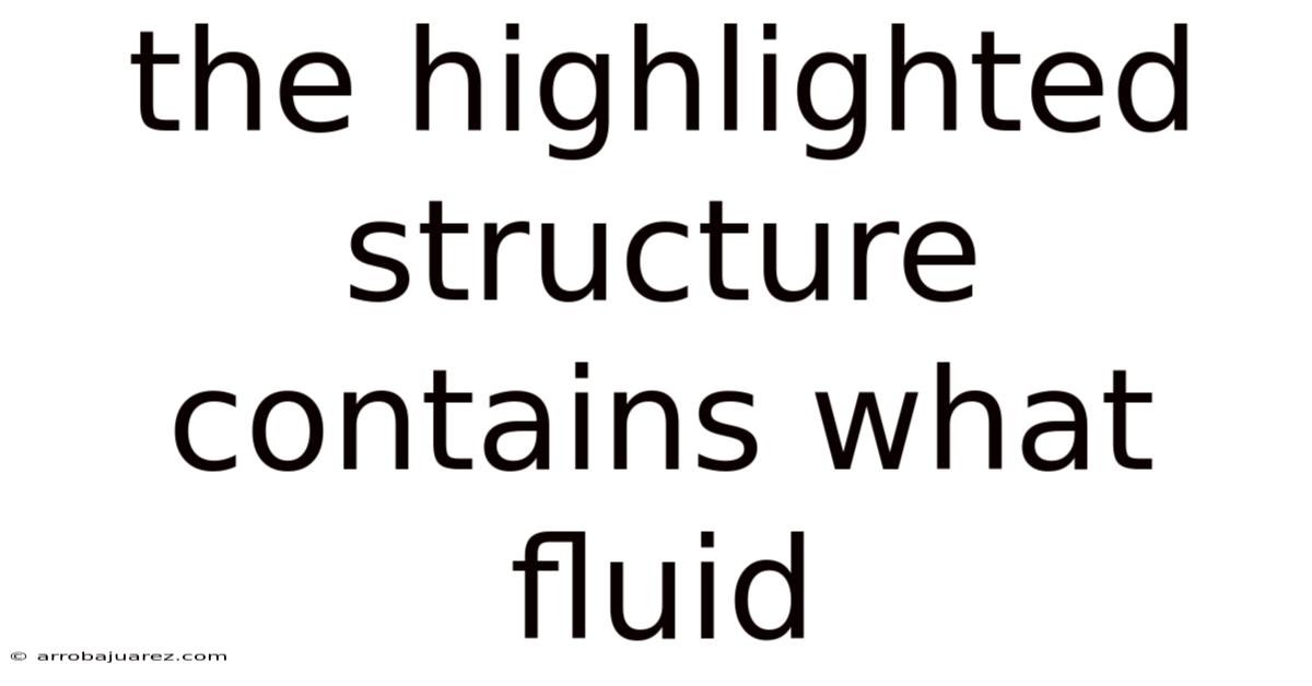 The Highlighted Structure Contains What Fluid