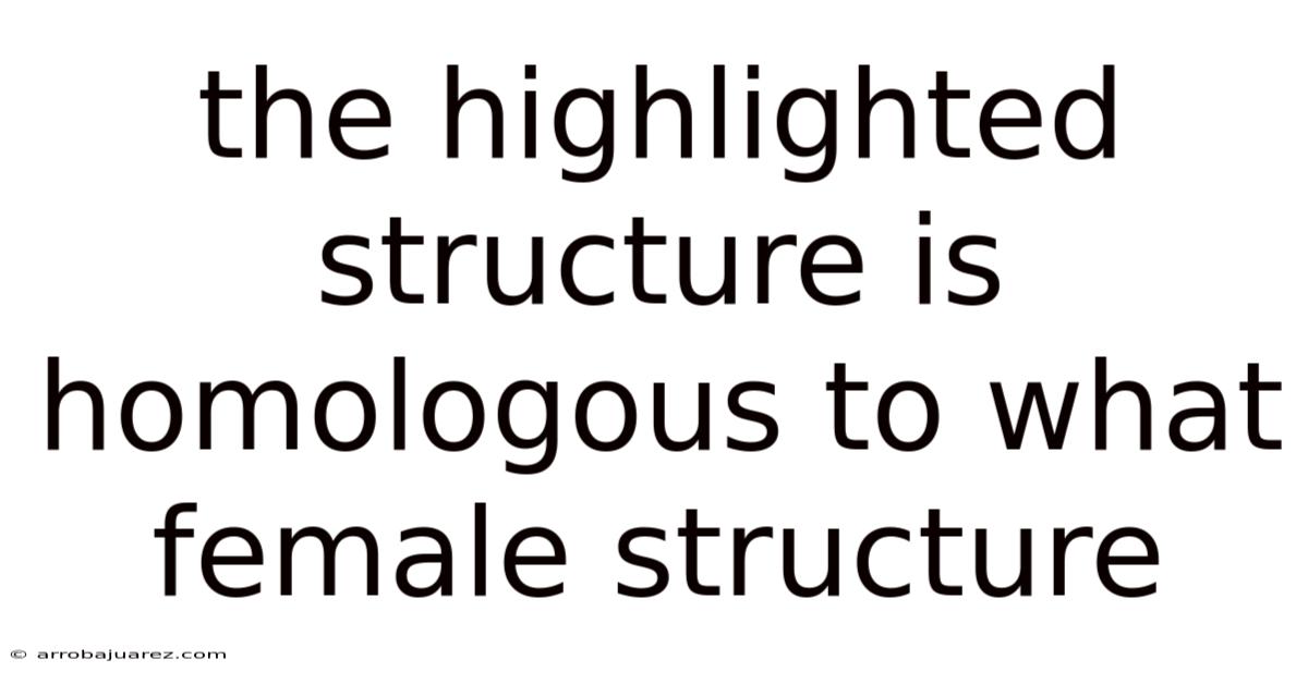 The Highlighted Structure Is Homologous To What Female Structure