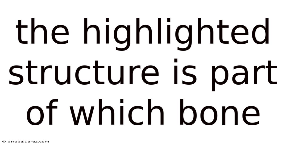 The Highlighted Structure Is Part Of Which Bone