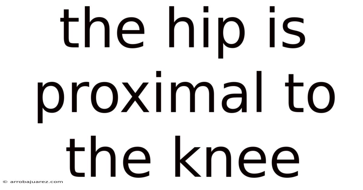 The Hip Is Proximal To The Knee