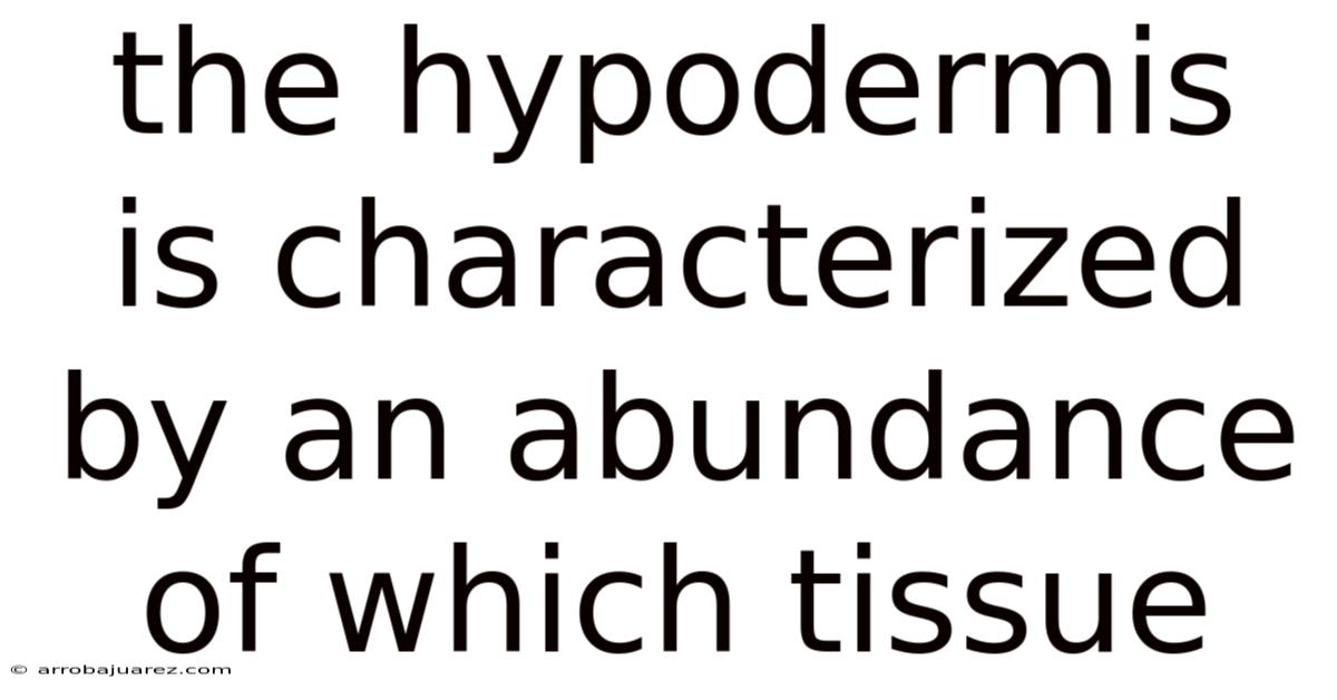 The Hypodermis Is Characterized By An Abundance Of Which Tissue