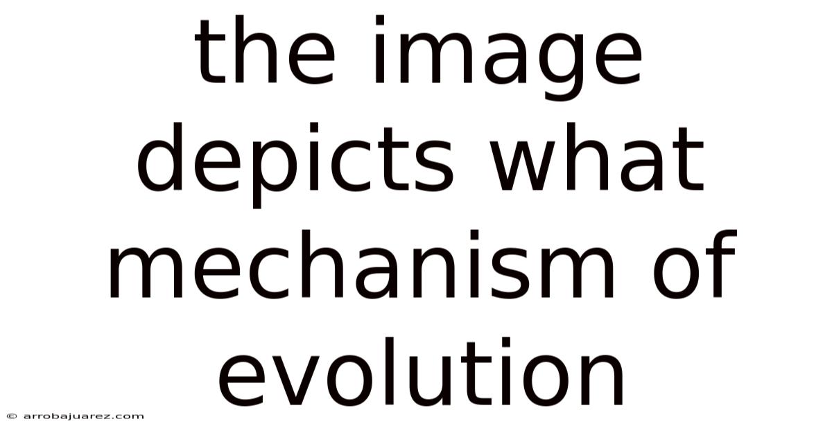The Image Depicts What Mechanism Of Evolution