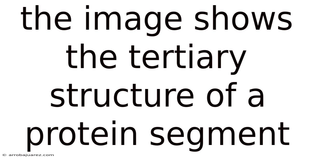 The Image Shows The Tertiary Structure Of A Protein Segment