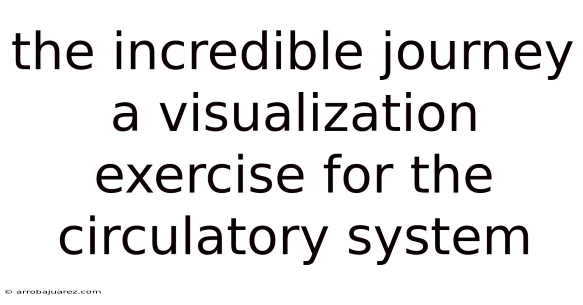 The Incredible Journey A Visualization Exercise For The Circulatory System