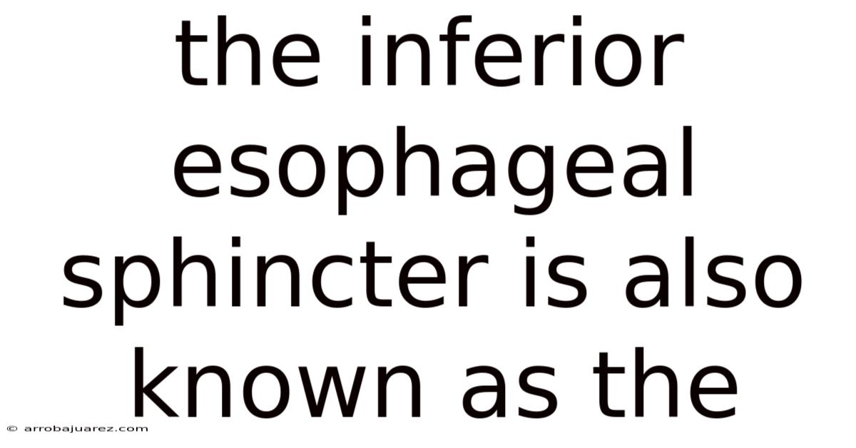 The Inferior Esophageal Sphincter Is Also Known As The