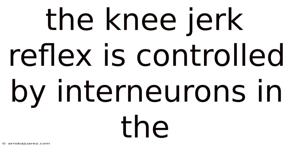 The Knee Jerk Reflex Is Controlled By Interneurons In The