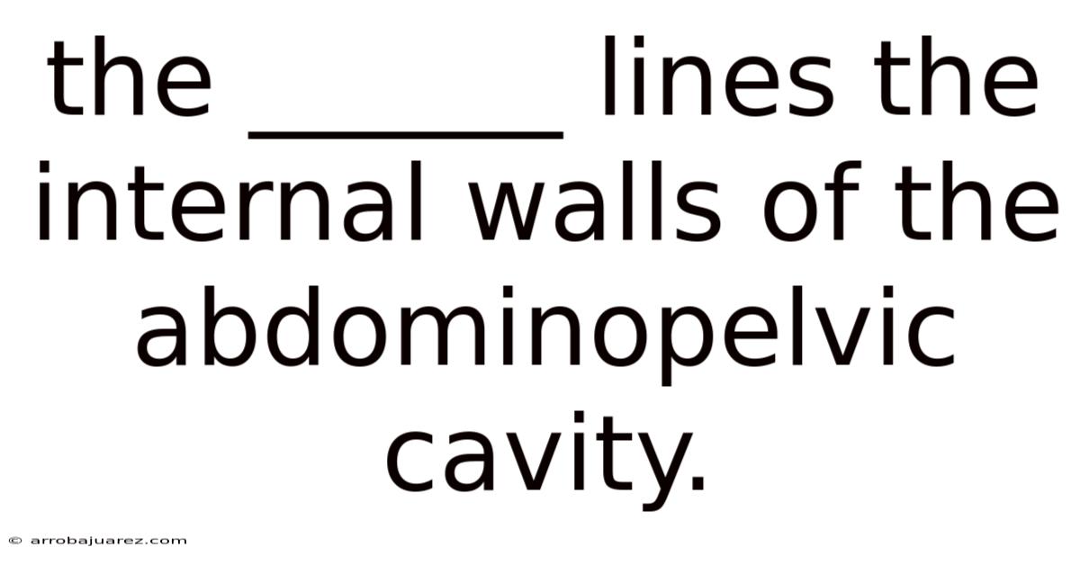 The ______ Lines The Internal Walls Of The Abdominopelvic Cavity.