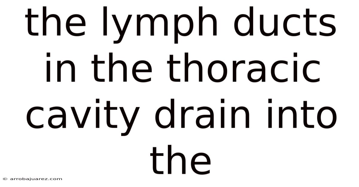 The Lymph Ducts In The Thoracic Cavity Drain Into The