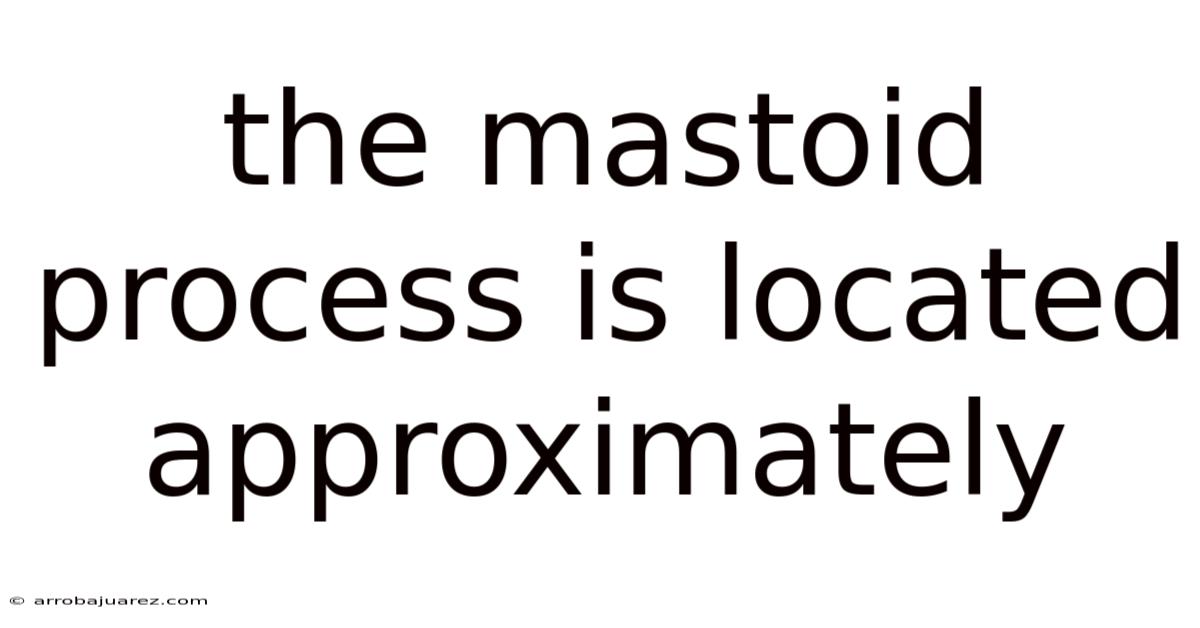 The Mastoid Process Is Located Approximately