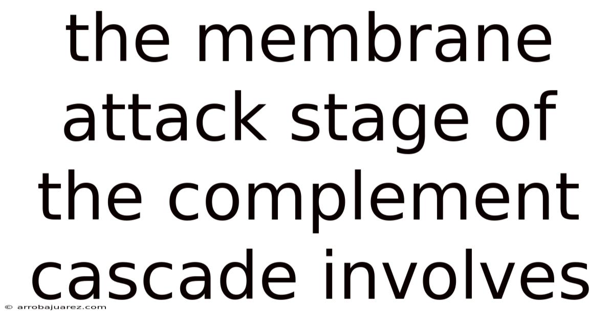 The Membrane Attack Stage Of The Complement Cascade Involves