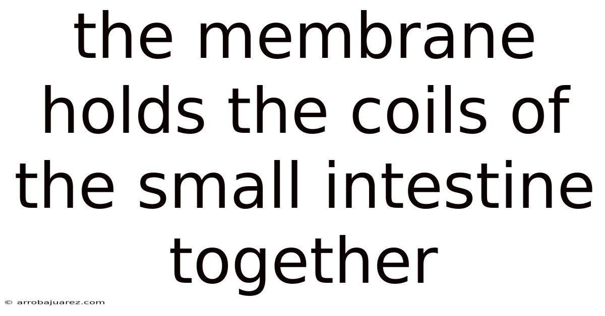 The Membrane Holds The Coils Of The Small Intestine Together