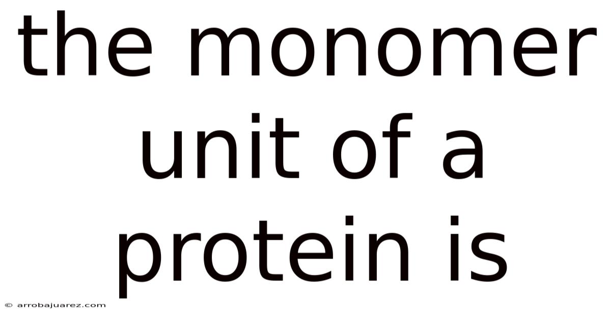 The Monomer Unit Of A Protein Is