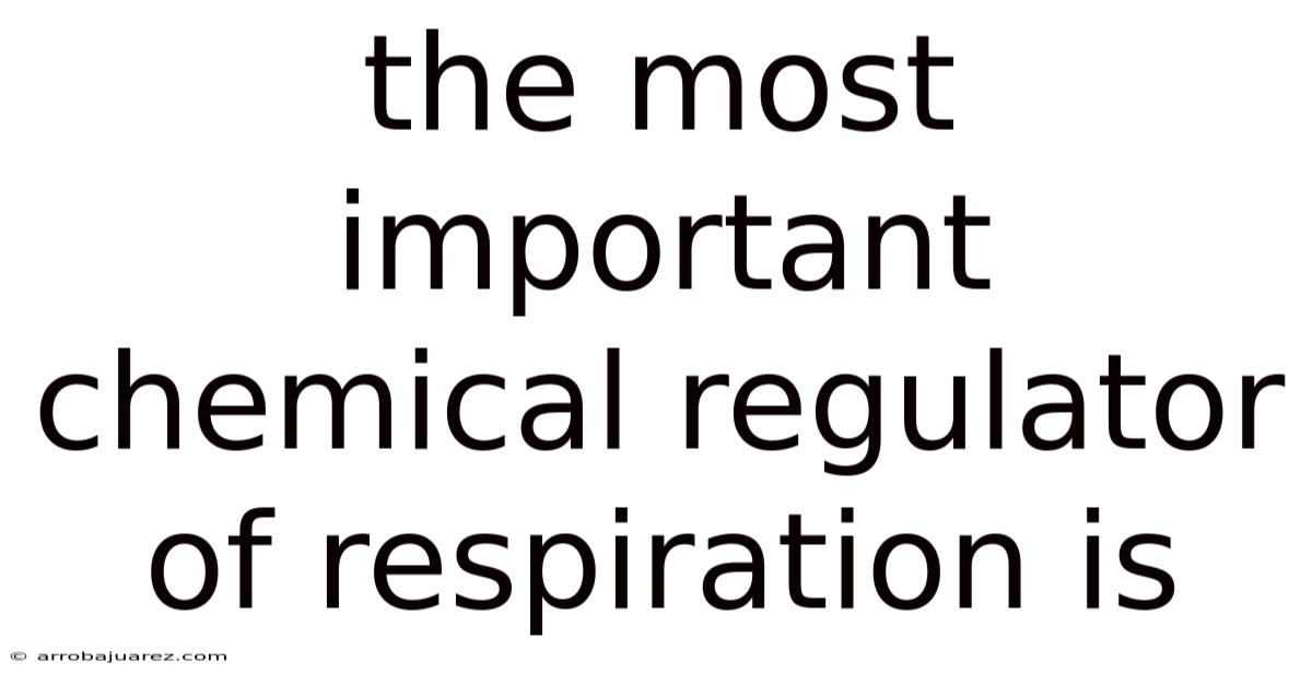 The Most Important Chemical Regulator Of Respiration Is