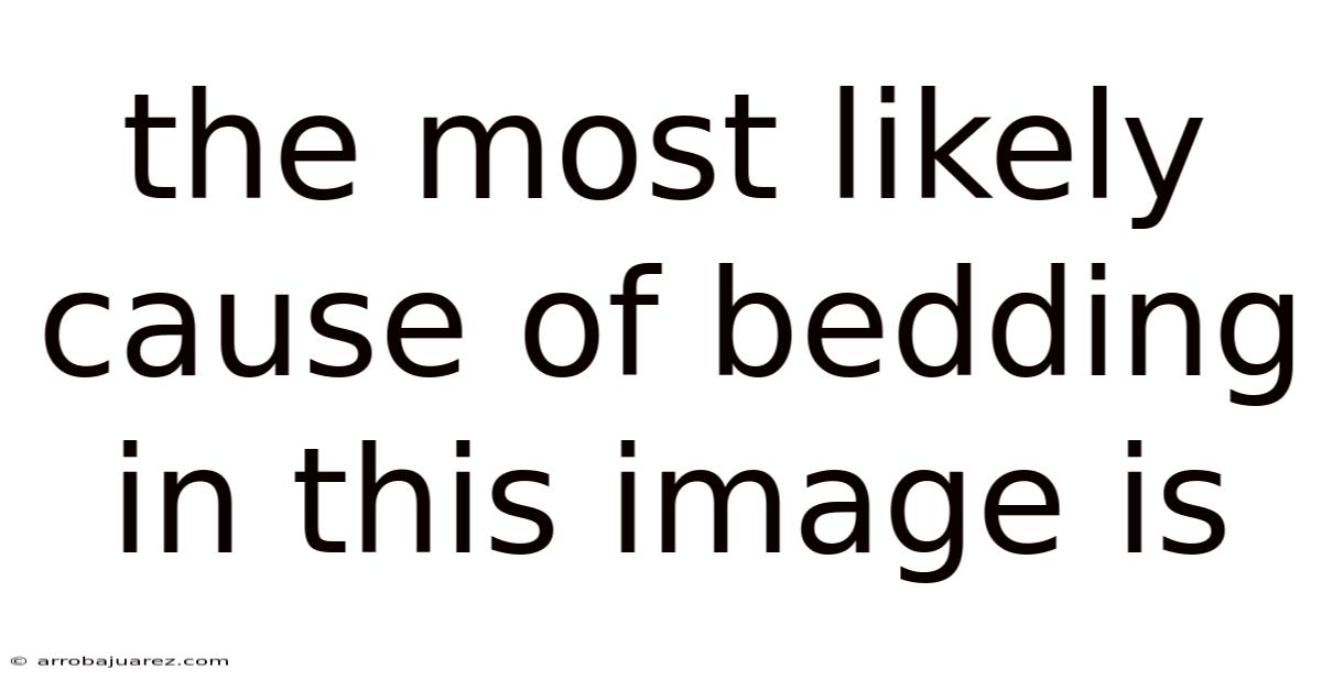 The Most Likely Cause Of Bedding In This Image Is