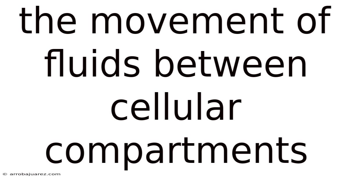 The Movement Of Fluids Between Cellular Compartments