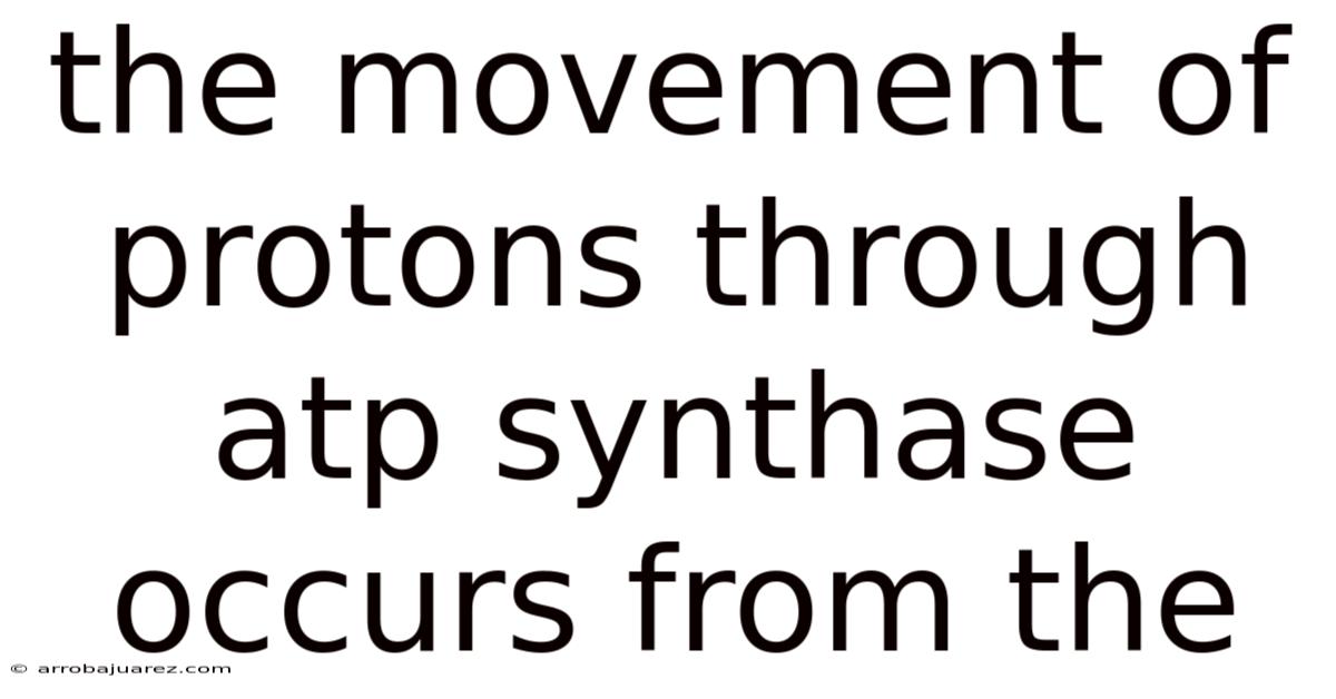 The Movement Of Protons Through Atp Synthase Occurs From The