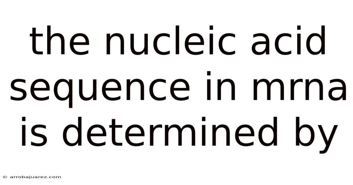 The Nucleic Acid Sequence In Mrna Is Determined By