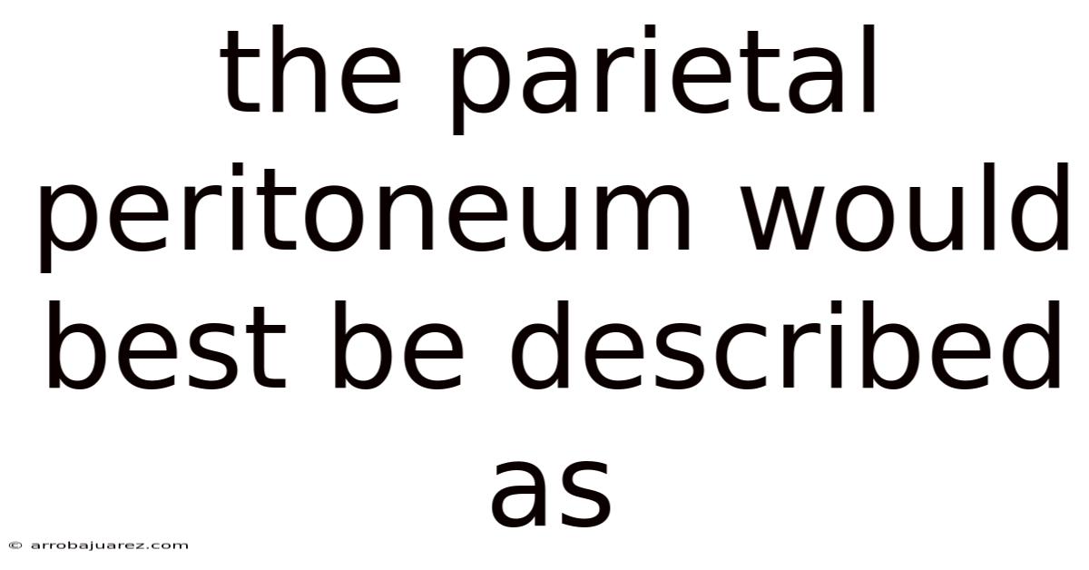 The Parietal Peritoneum Would Best Be Described As
