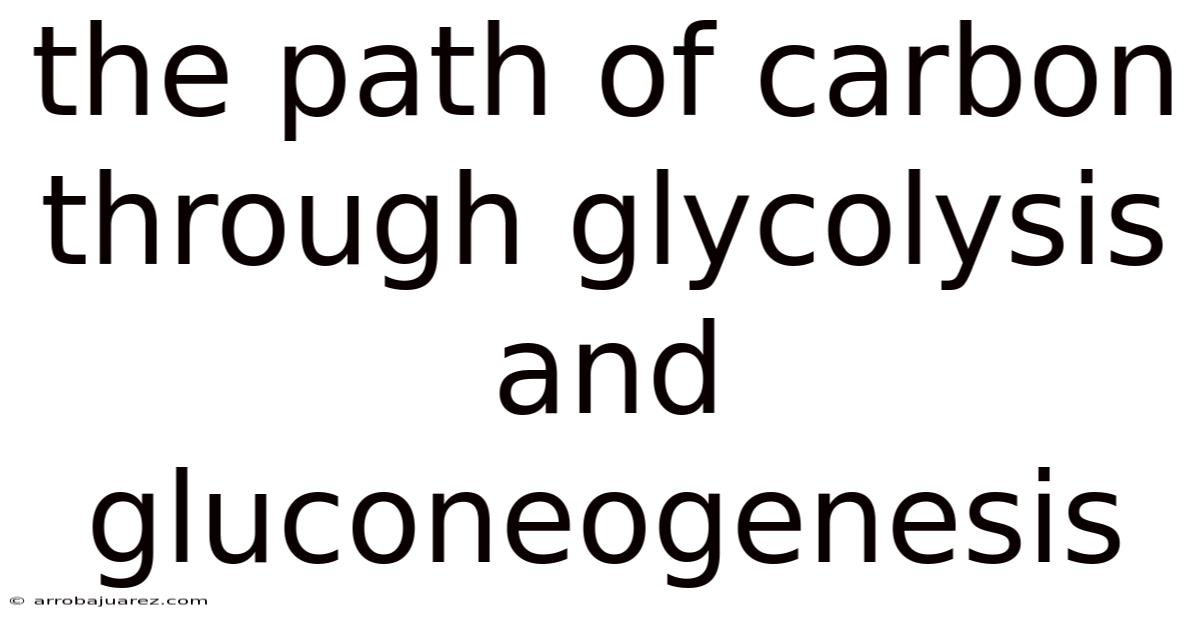 The Path Of Carbon Through Glycolysis And Gluconeogenesis
