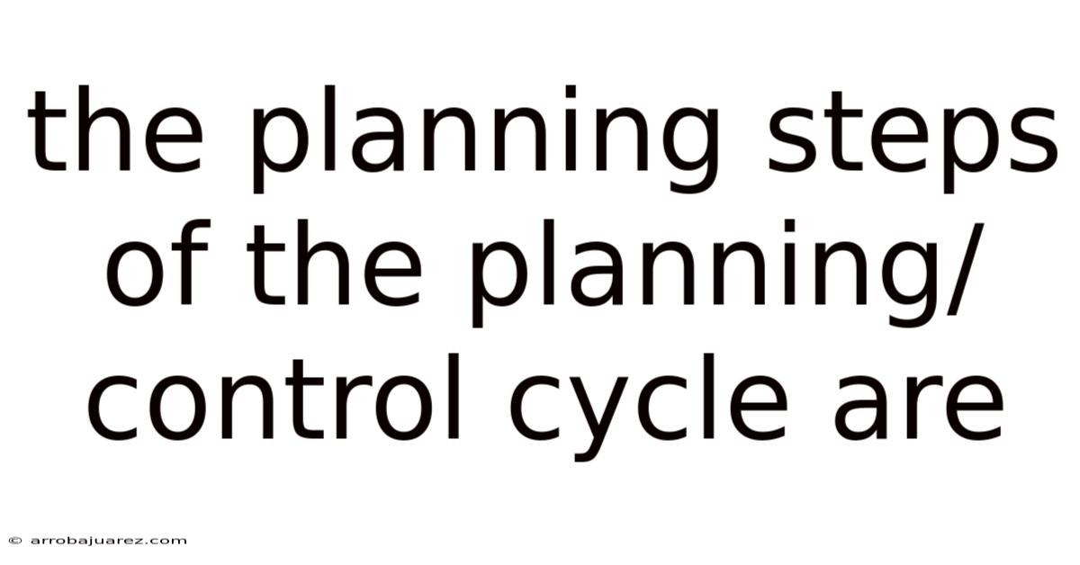 The Planning Steps Of The Planning/control Cycle Are