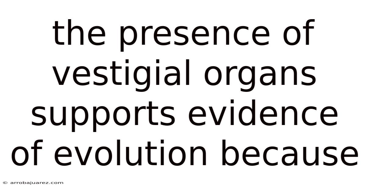 The Presence Of Vestigial Organs Supports Evidence Of Evolution Because