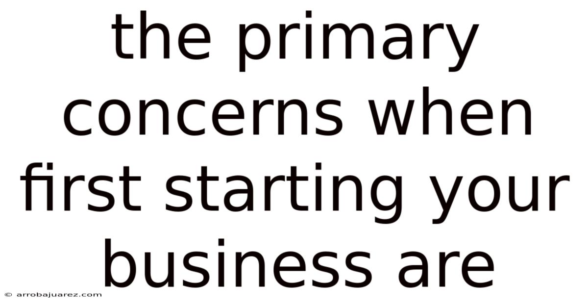The Primary Concerns When First Starting Your Business Are