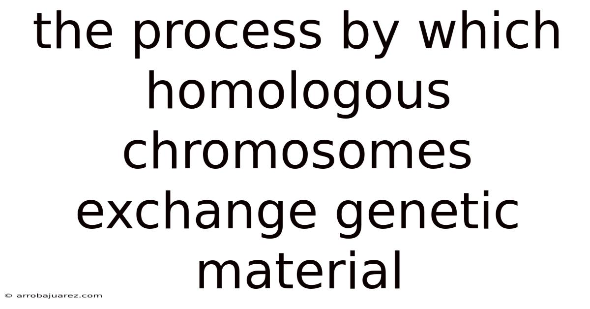 The Process By Which Homologous Chromosomes Exchange Genetic Material