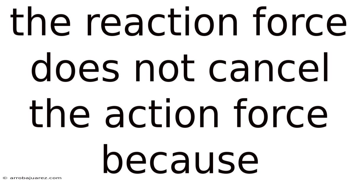 The Reaction Force Does Not Cancel The Action Force Because