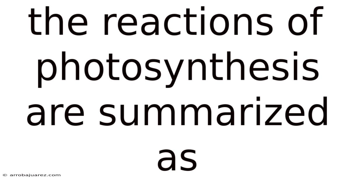 The Reactions Of Photosynthesis Are Summarized As