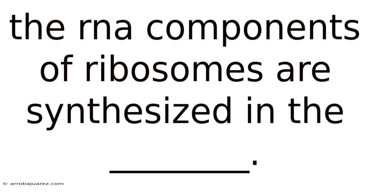 The Rna Components Of Ribosomes Are Synthesized In The ________.