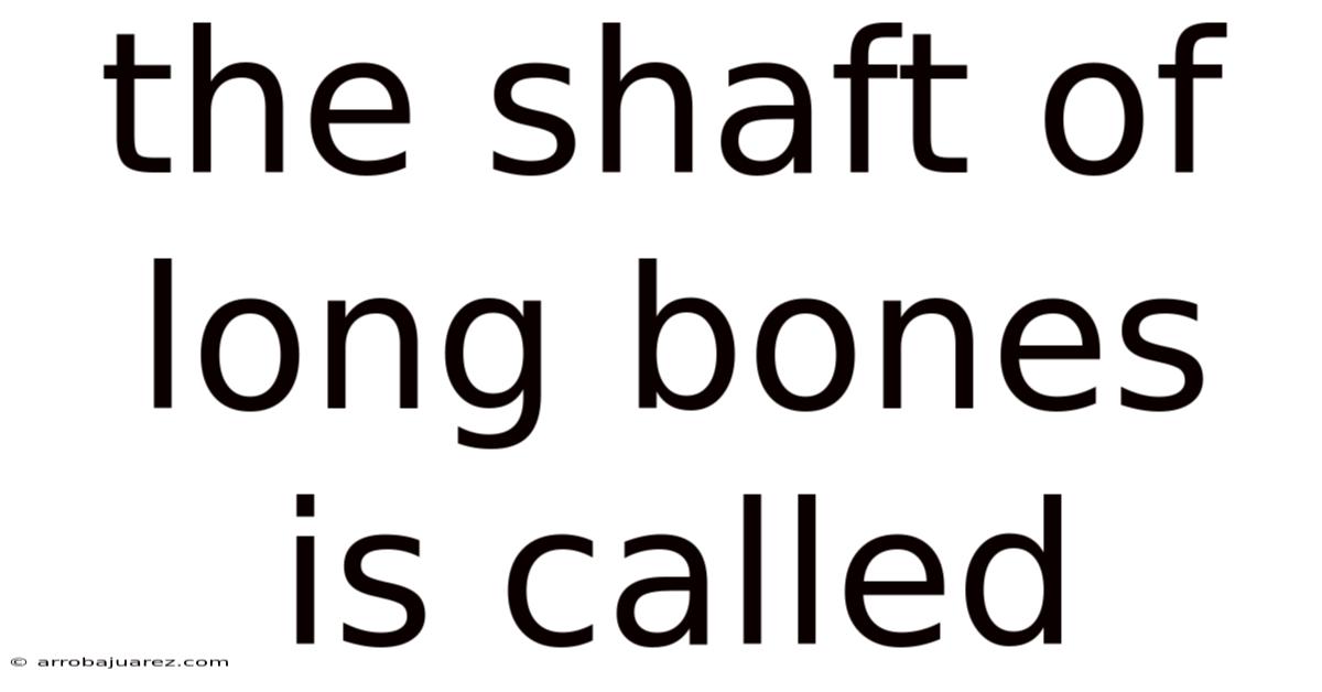 The Shaft Of Long Bones Is Called